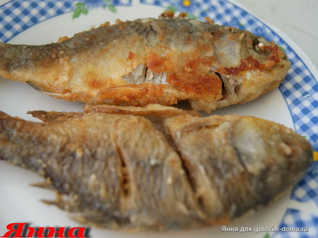 DSC00200.jpg