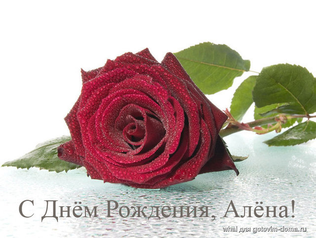 47852557_alena.jpg