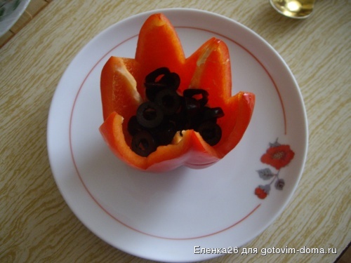IMGP2284.JPG