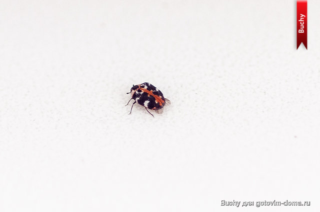 untitled_25.03.14_031.jpg