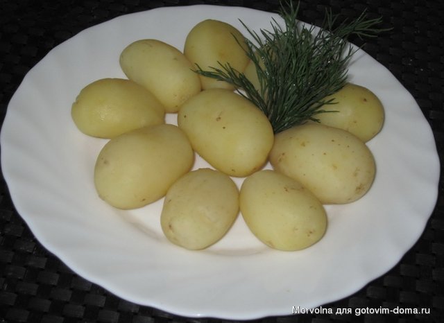 карт.jpg
