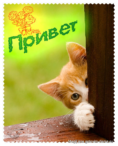 привет.jpg