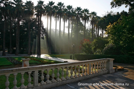 Athens_National-Garden.jpg