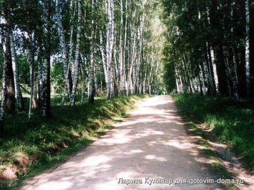 birch_alley_b.jpg