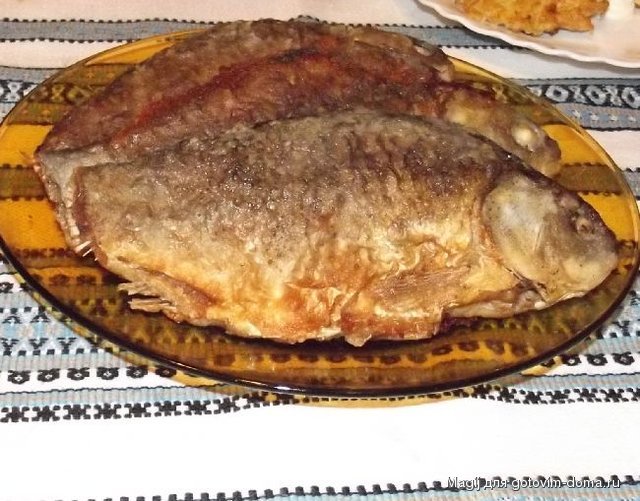 DSCF5716.JPG