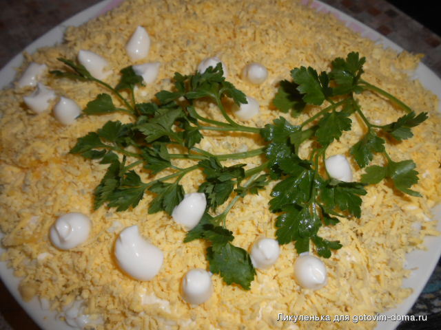 DSCN4553.JPG