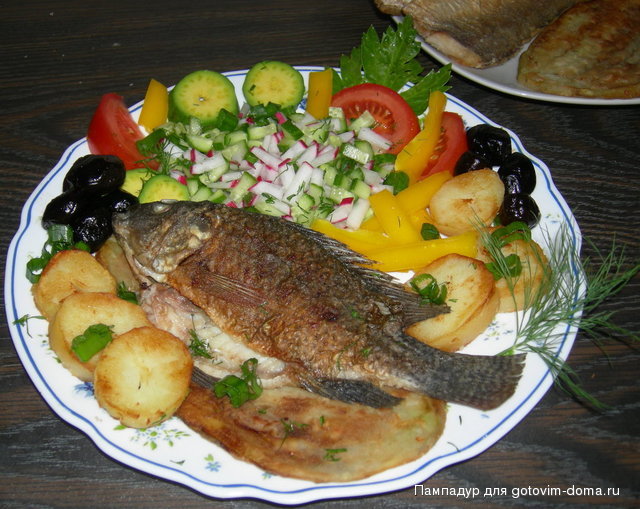 DSCN1401.JPG