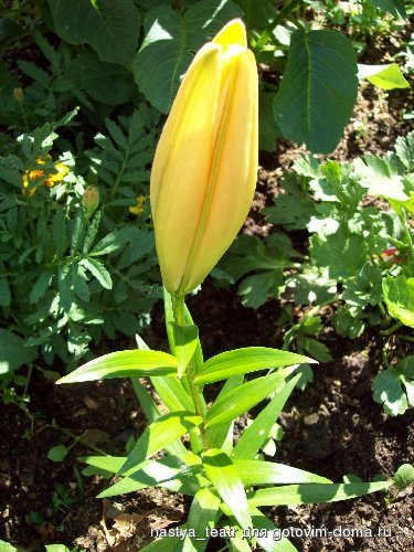 100_0628.jpg
