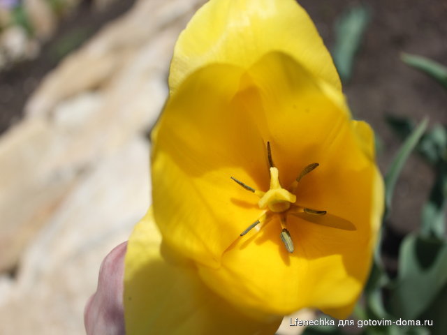 DPP_00083.JPG