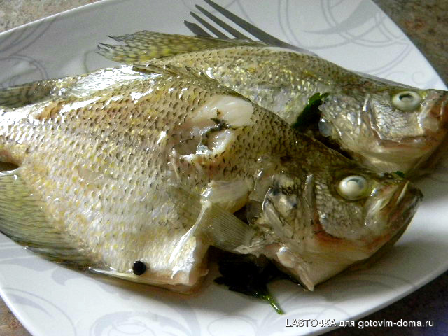 af60ecb2cf27fbe03575eab104f645d2.jpg
