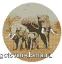 slon-1.jpg
