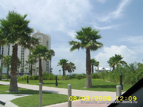 STA71101.JPG