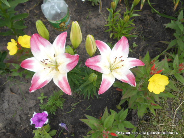 DSCN0092.JPG