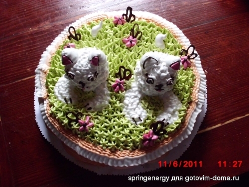 CIMG0088.jpg