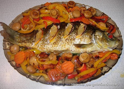 DSCN2566.JPG