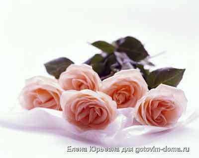 roses0206.jpg