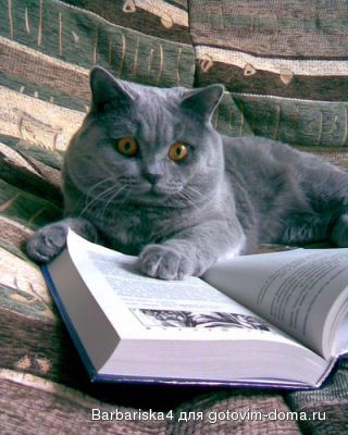 читает.jpg