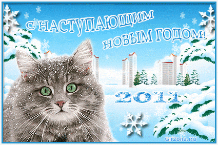 2011_01.gif