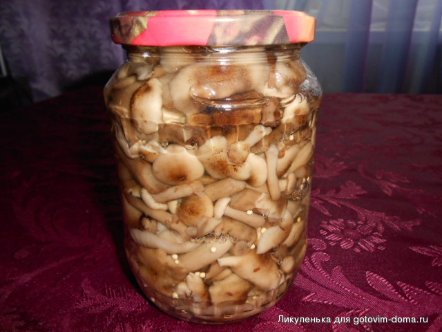 DSCN5098.JPG