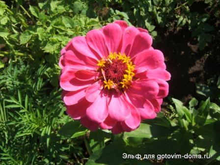 DSCF9363.JPG