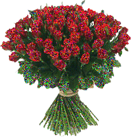 619050a5c3c58a3a1d45a7331e7ed748.gif