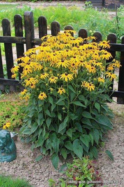 2013_08_11_1462.jpg