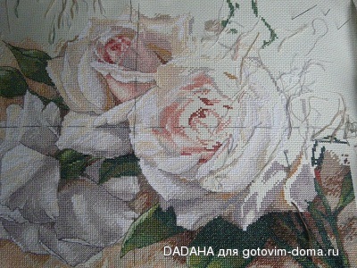 P1050716-01.jpg