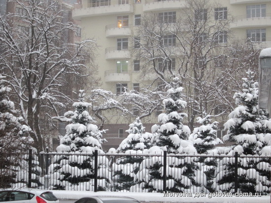 сн5.jpg