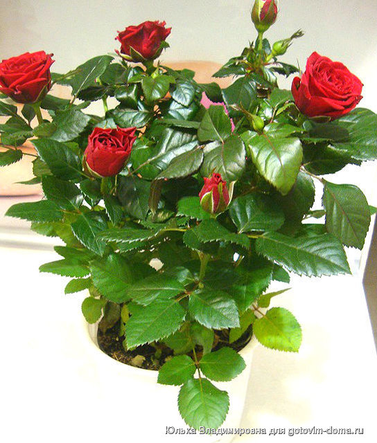 DSC04407.jpg