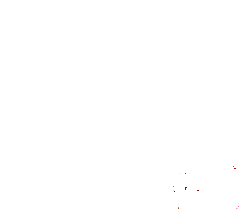 009.gif