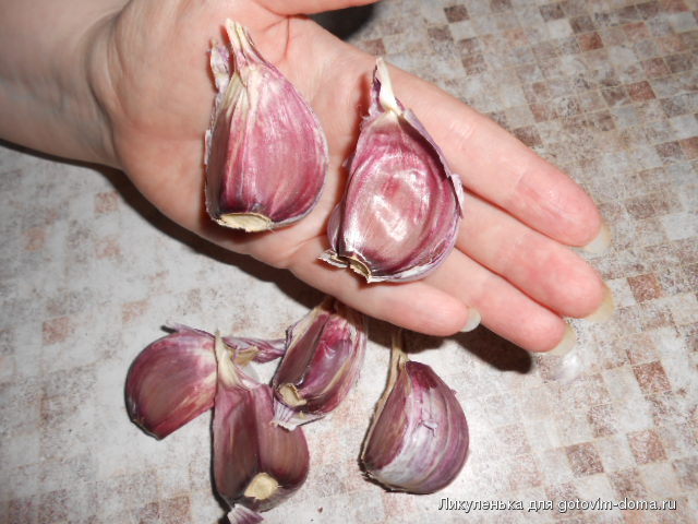 DSCN6778.JPG