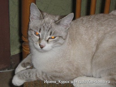 IMG_1149.jpg