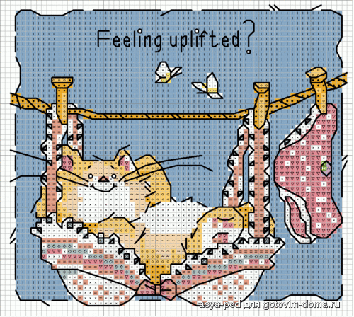 коты - кот с бельем.gif