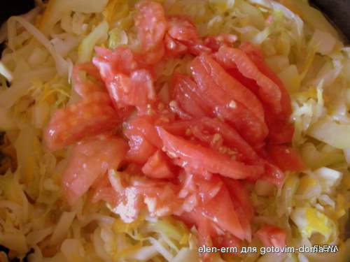 тушеная капуста с кабачками и с мясом тушеная капуста с кабачками и с мясом