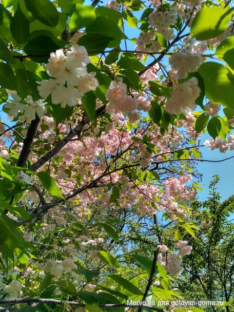 IMG_20170507_113314_HDR.jpg