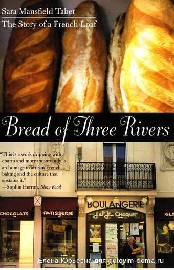 sarataber-340-Paperback_cover.jpg