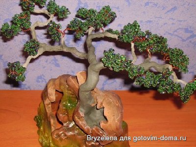 PICT0786.JPG