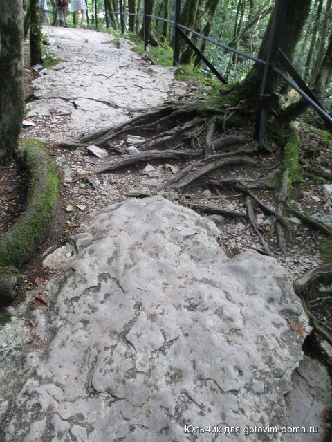 IMG_2014.JPG