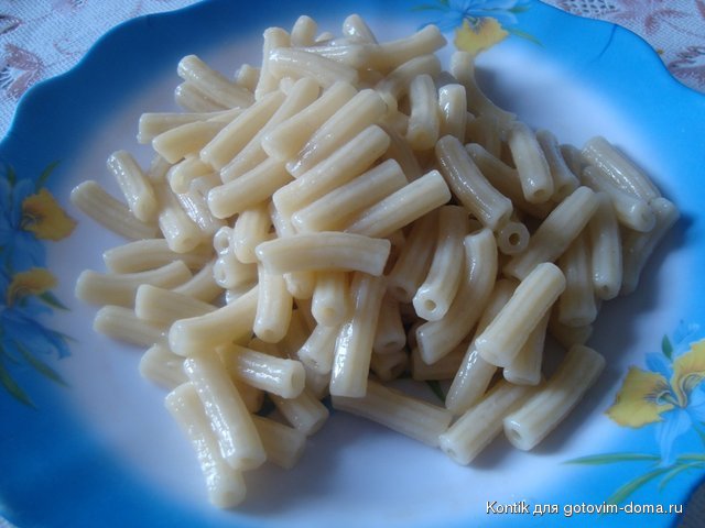 DSC08145.JPG