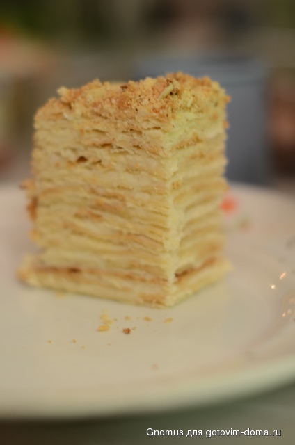 DSC_9560.JPG