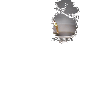 File291[1].gif