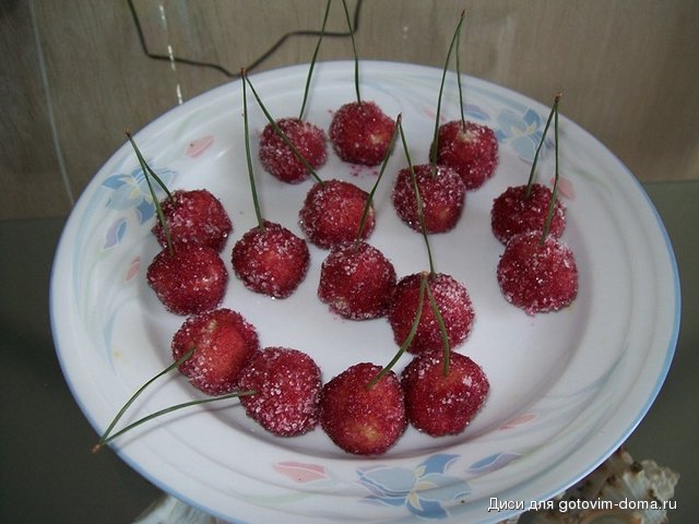 100_3902.JPG