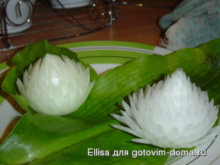 146.jpg