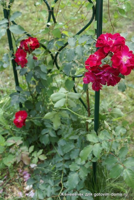 DSC04772.JPG