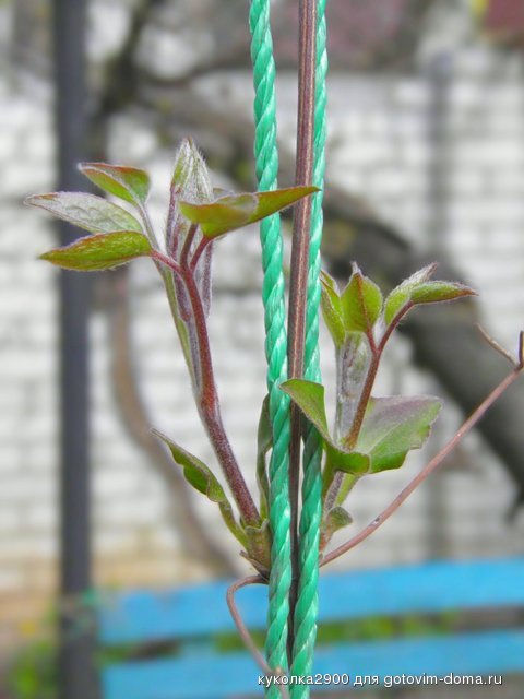 0104 2.jpg