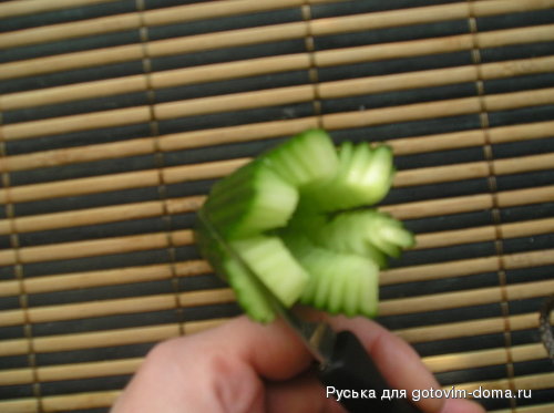 P1010380_resize.JPG