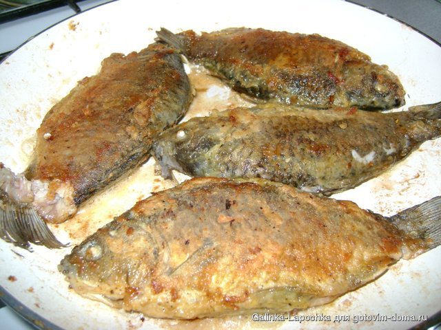 DSC08422.JPG