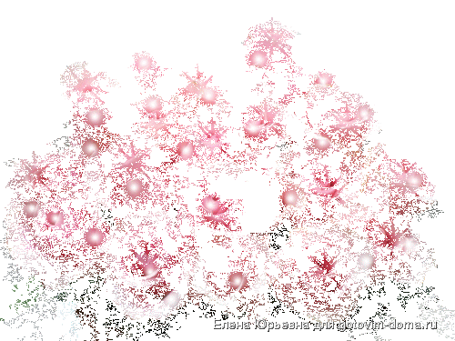 1255771494_13-flowers_03.gif