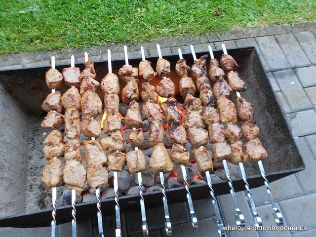 DSCN5507.JPG
