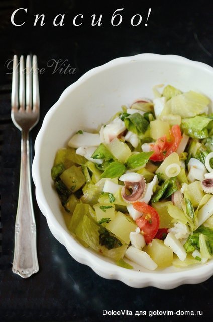 salat gnomus.jpg